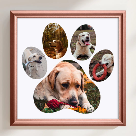 rose_SQUARE_30x30_2